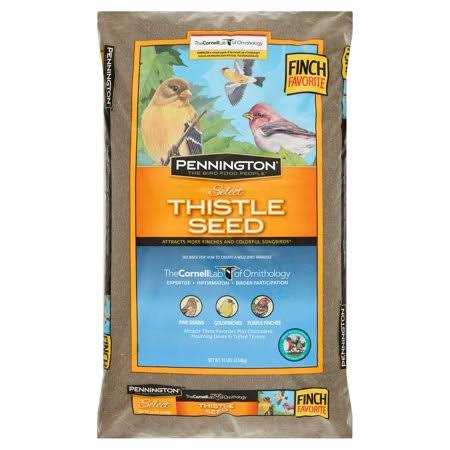 Thistle Seed R22654