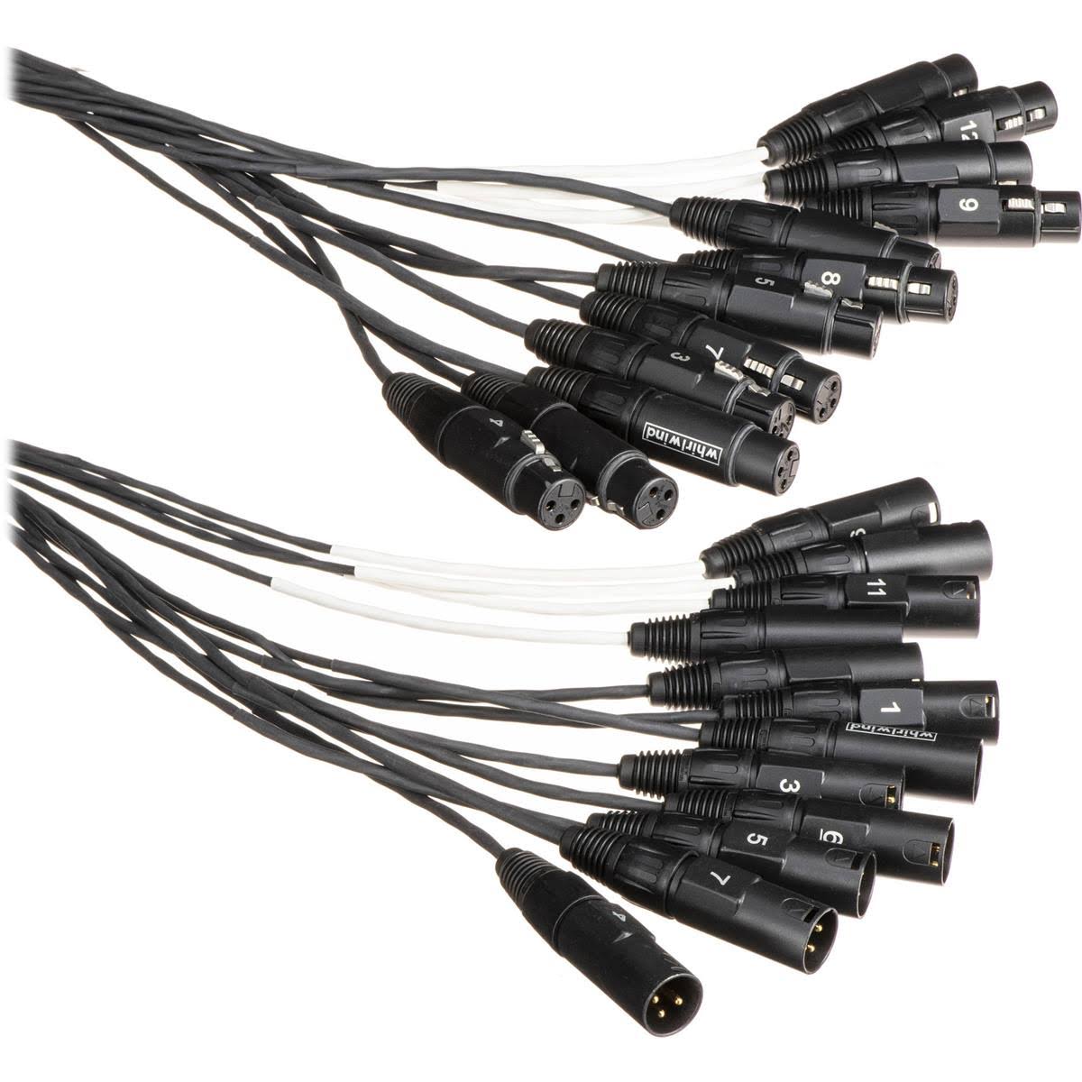 12 XLRF to 12 XLRM Snake Fan to Fan - 50 ft B724