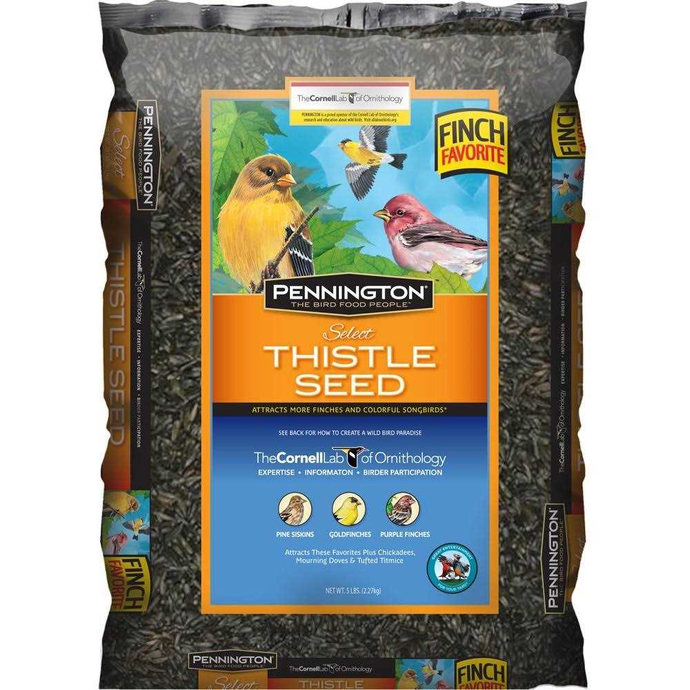 Thistle Seed R22654